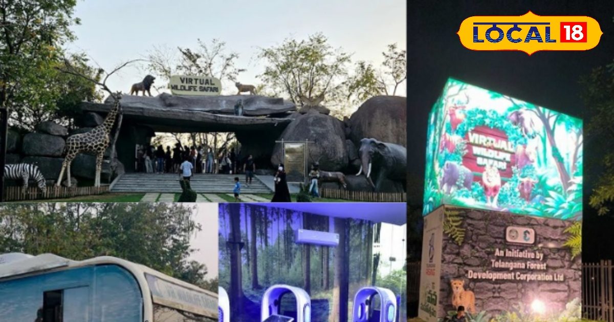 Lion’s roar, waterfall echo and stars are also near … This park of Hyderabad became a sea of ​​adventure!