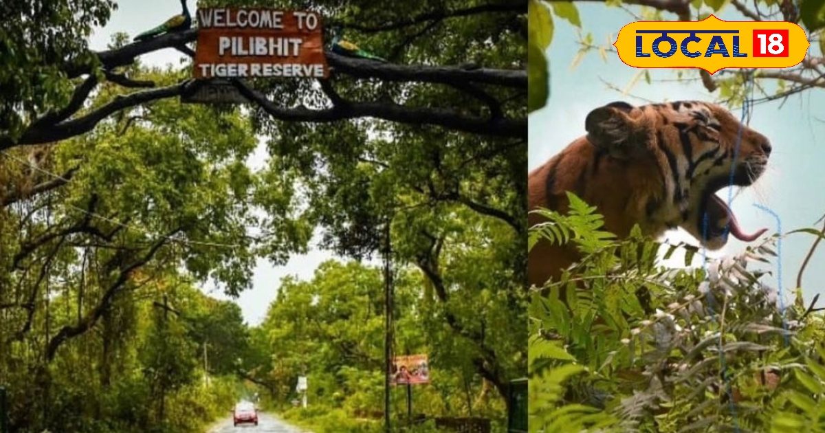 Before June 15, do these 5 spots of Pilibhit … The day will be made in summer holidays, remembering throughout life