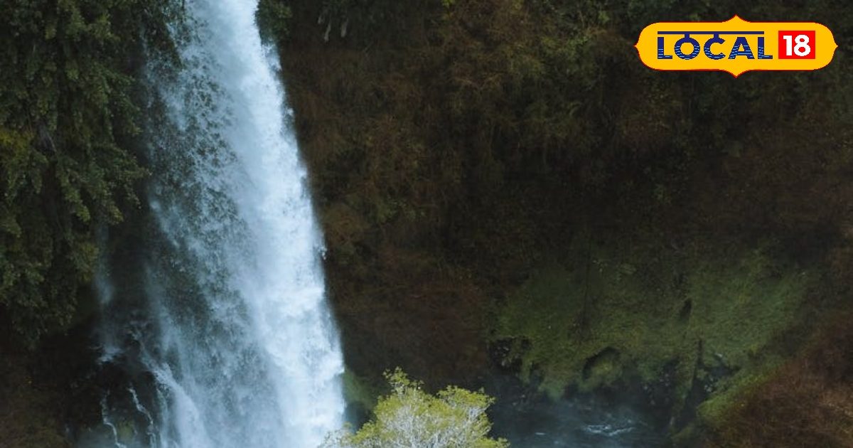 Neither you have to go to Goa, nor Darjeeling … This waterfall of Bihar is no less than a paradise, the heart will win beauty
