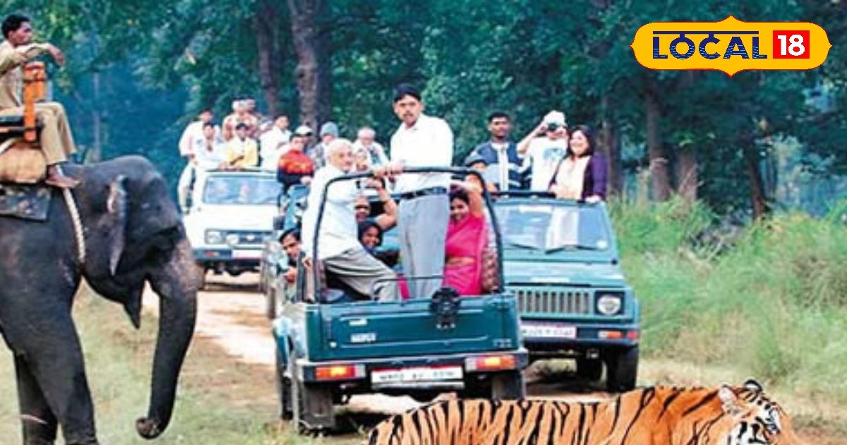 Have to enjoy the jungle safari for less cost, then visit the Valmiki Tiger Reserve … These are the easiest routes to reach here!