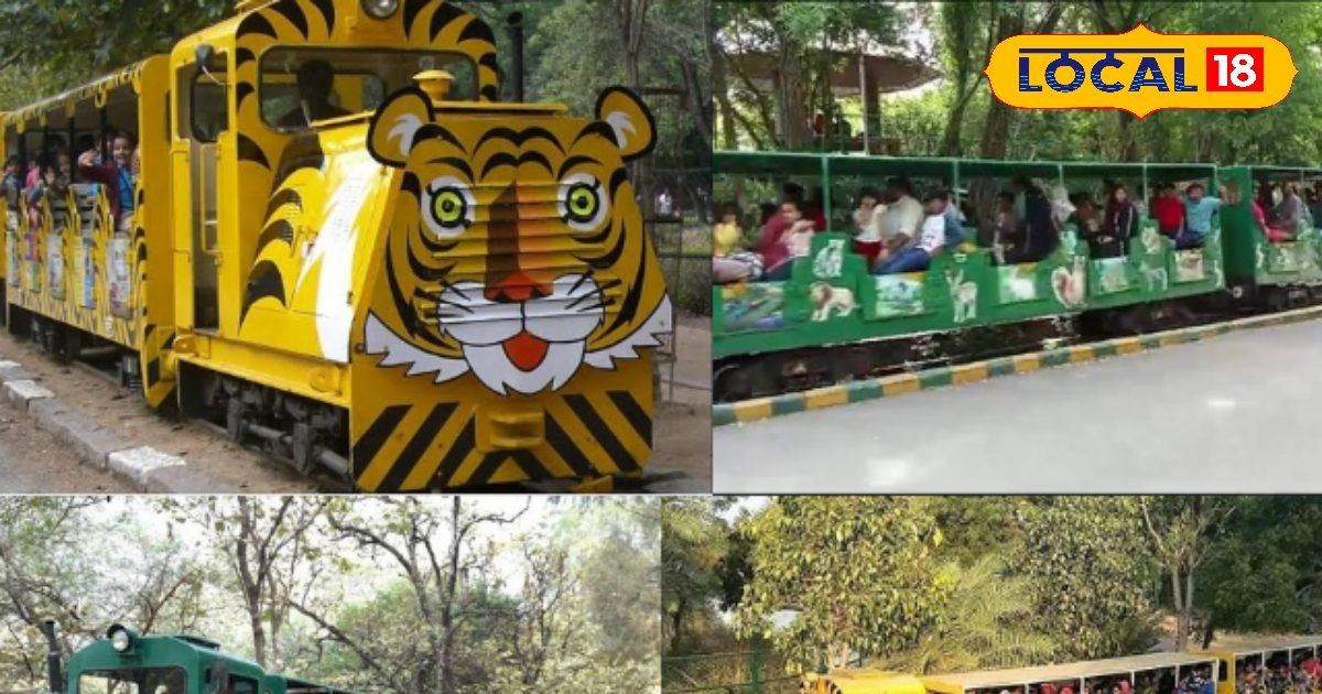 Hyderabad’s Nehru Zoological Park will get more through the Arrival of a new eco -friendly Electric Toy Train – Rajasthan News