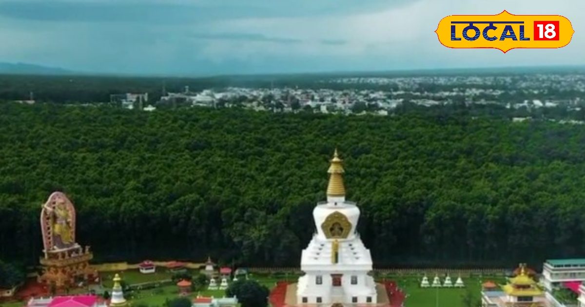 Away from the city’s run, these 6 parks of Dehradun are relaxed hideouts, perfect for children and elders – uttarakhand news