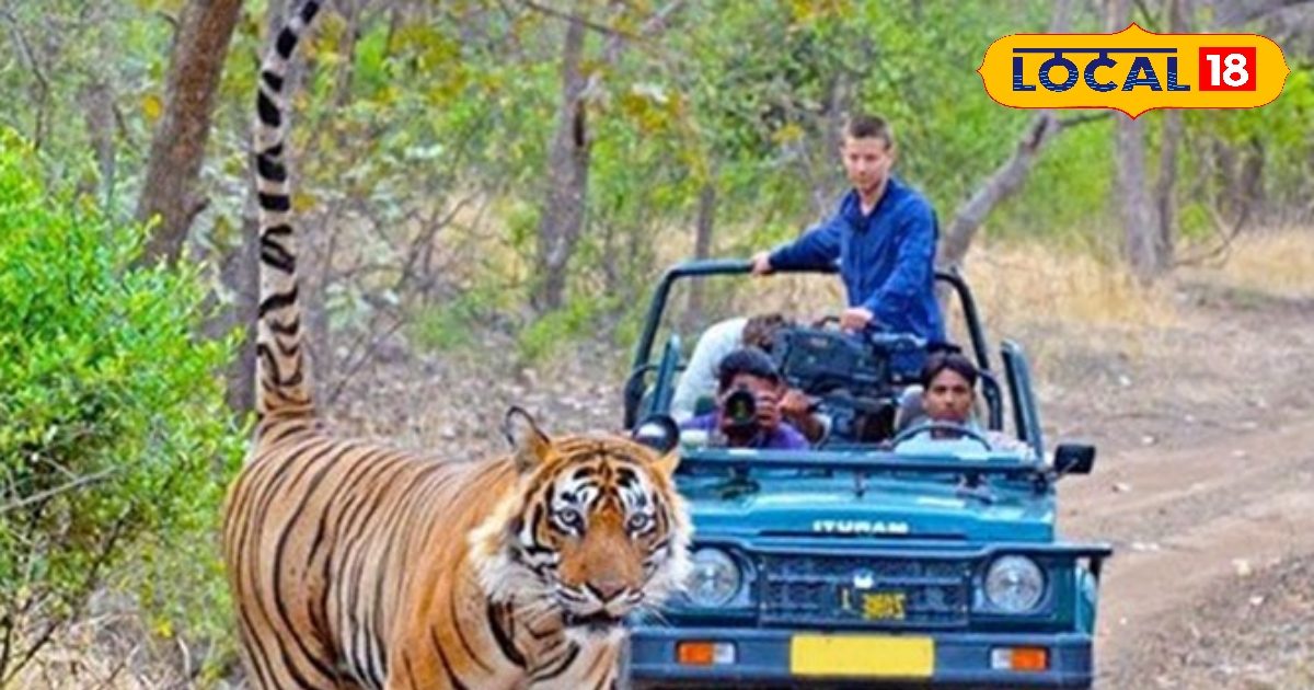 Want to do Tiger in Nainital … Immediate departure, will face here in front of Gypsy – Uttarakhand News