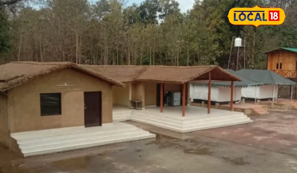 Moonlight night, year forest …. Beautiful Huts built on the banks of the pond! This is Pilibhit’s new hotspot – Uttar Pradesh News